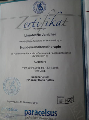 Zertifikat - Medizinische Versorgung