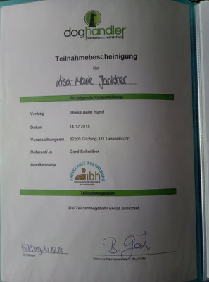 Zertifikat - Diabetiker Pflege