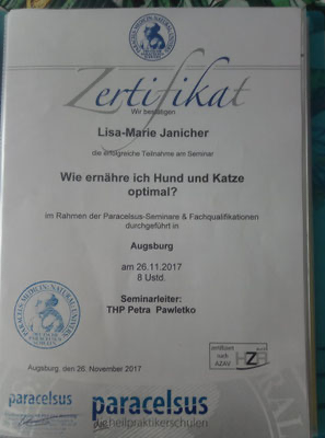 Zertifikat - Hundeverhalten & Gassi