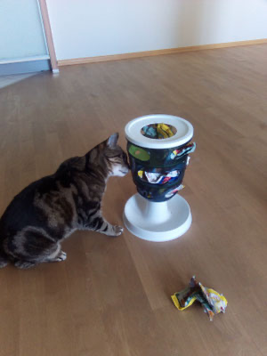 Aktive Katzenpflege